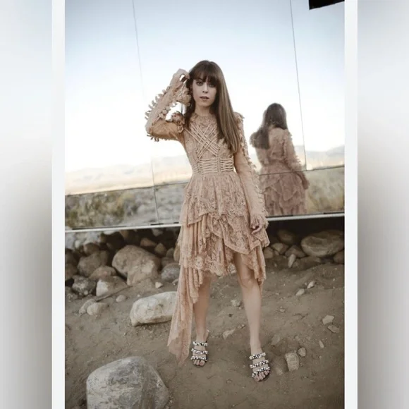 Super Rare 2017 Zimmermann Bowerbird Romance Mini Dress Runway Dress Size 1 - Picture 3 of 13